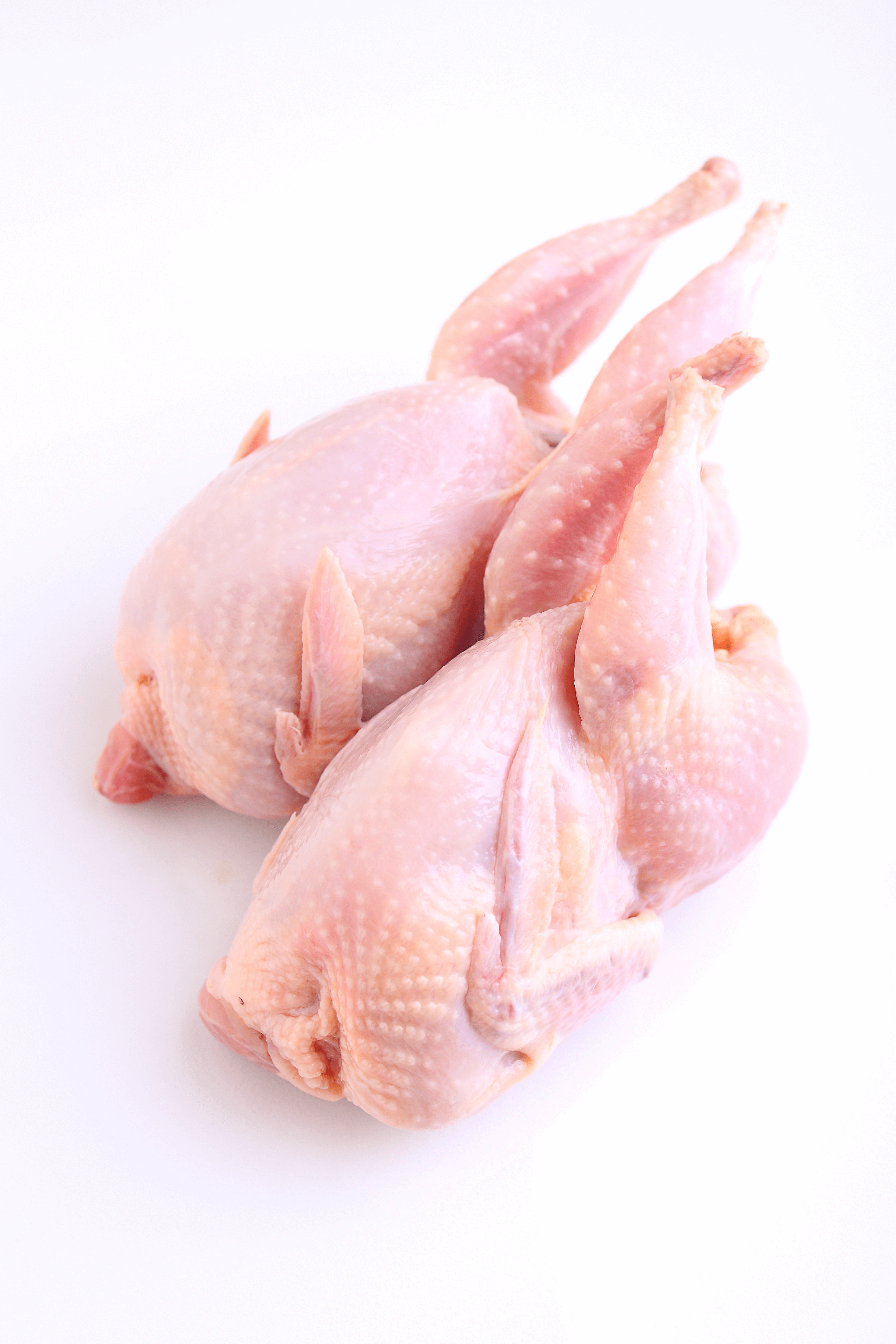 Whole Quail (pack of 6)
