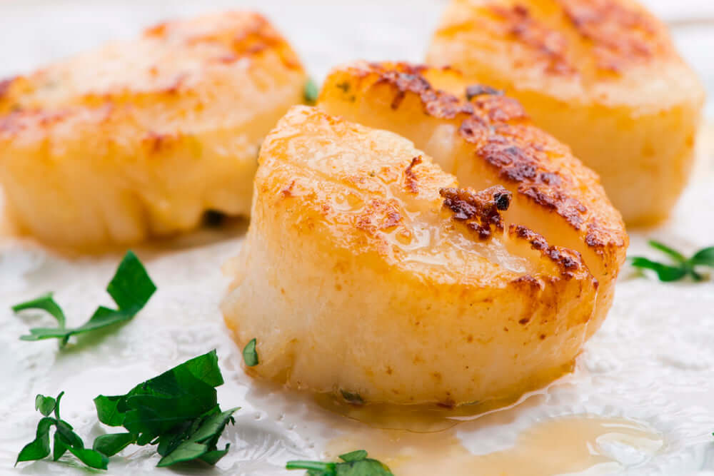 Canadian Sea Scallops (Approx. 1 kg)