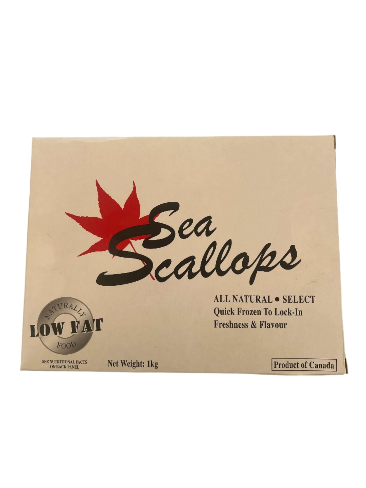 Canadian Sea Scallops (Approx. 1 kg)