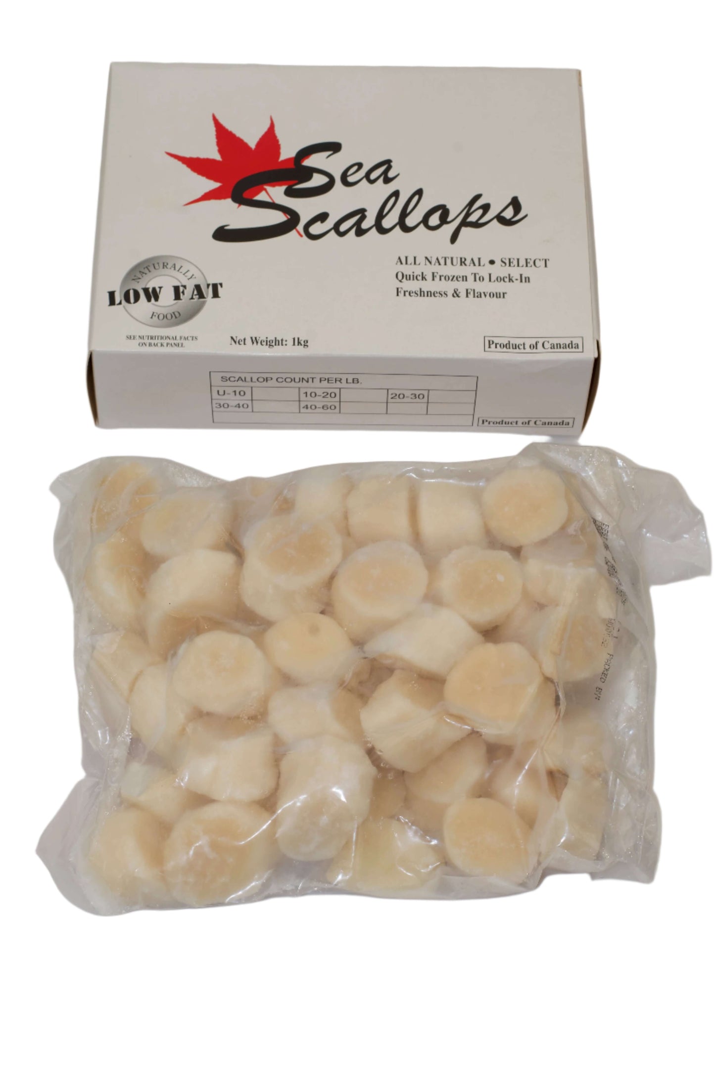 Canadian Sea Scallops (Approx. 1 kg)
