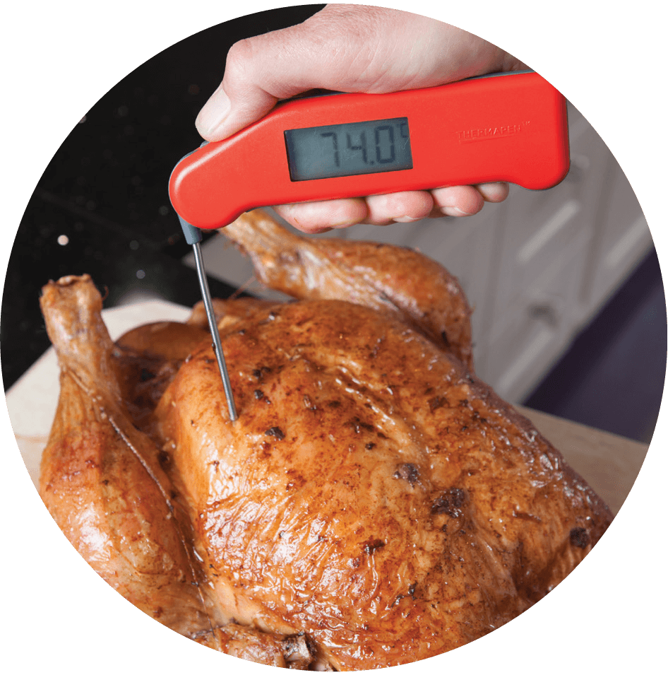 Thermapen Classic BBQ Delicious Thermapen classic bbq delicious